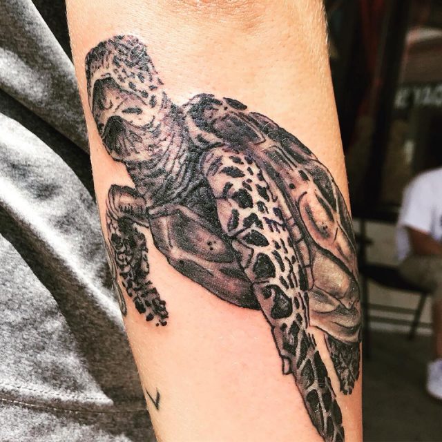 20 Interesting Turtle Tattoo Ideas For Guys  Styleoholic