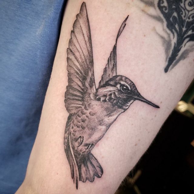 Hummingbird Tattoo Designs Tattoomenu