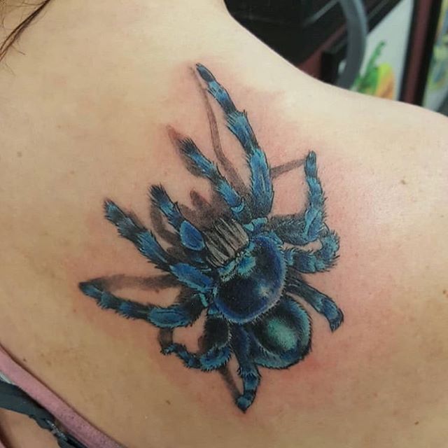 Spider Tattoo Designs For Woman | TattooMenu