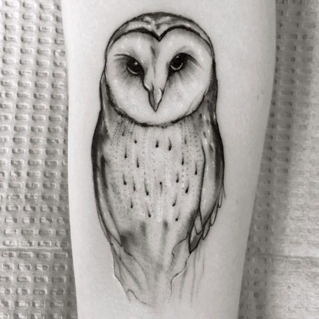 My first tattoo an absolutely stunning sketchy barn owl based on a drawing  done by my best friend  rtattoo