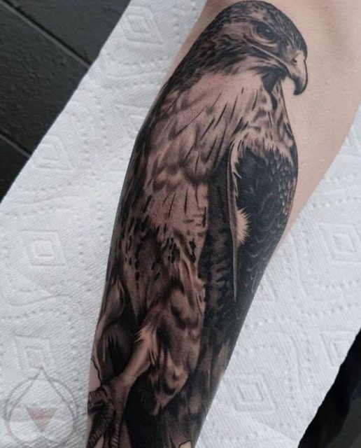 Cool Hawk Tattoo Design For Sleeve